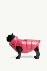 Bright Pink