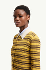 Dark Yellow & Brown