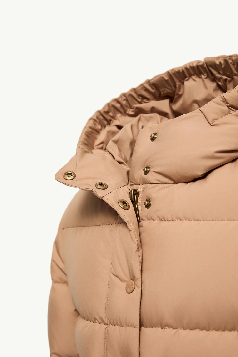Camel Beige